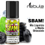 Nebula SBAM! Mint & Licorice Ghiacciato | 10ml