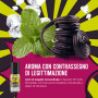 Nebula SBAM! Mint & Licorice Ghiacciato | 10ml