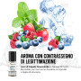 Nebula ICEBERG BLUE Aroma Fruttato Ghiacciato 10ml